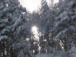 foto neve del 7 Marzo 2004 panorama 2